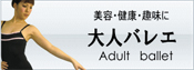 �Х쥨�������
